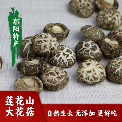 江西特产鄱阳莲花山原生态干香菇