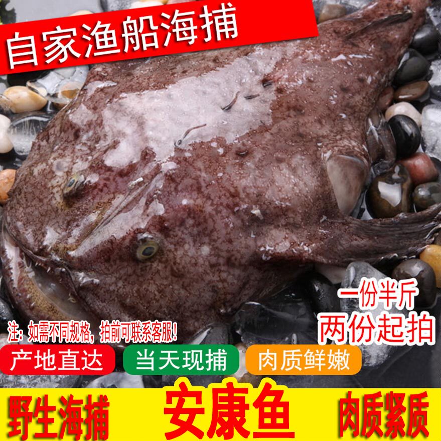 安康鱼鲜活新鲜野生2-4斤1条老头鱼丑鱼蛤蟆鱼海鱼连云港海鲜水产