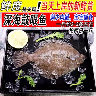 鼓眼鱼新鲜豆鼓鱼高眼鱼偏口鱼鲜活1斤2-3条海鱼海鲜水产2份起拍