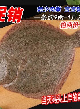 多宝鱼鲜活野生新鲜石斑鱼比目鱼花岗鱼江鱼海鱼约9两1斤海鲜水产