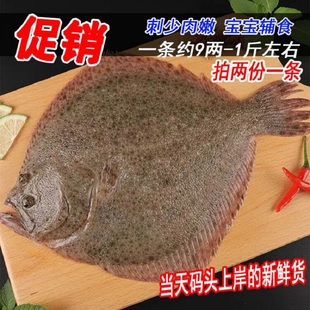 多宝鱼鲜活野生新鲜石斑鱼比目鱼花岗鱼江鱼海鱼约9两1斤海鲜水产