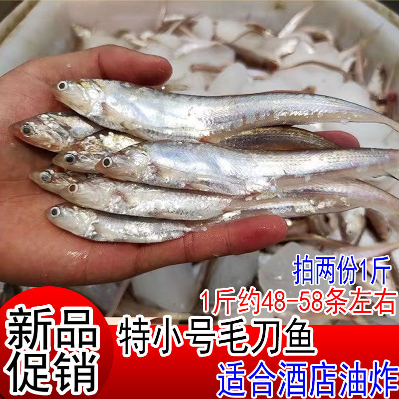 新鲜毛刀鱼凤尾鱼刨花鱼毛鱼毛花鱼鲜鱼海水海鲜鲜活水产拍2份1斤