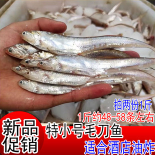 新鲜毛刀鱼凤尾鱼刨花鱼毛鱼毛花鱼鲜鱼海水海鲜鲜活水产拍2份1斤