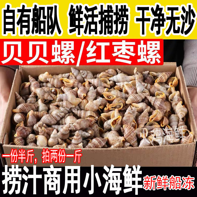 捞汁新鲜贝贝螺红枣螺海瓜子海螺丝香螺辣螺鲜活海鲜水产拍2份1斤