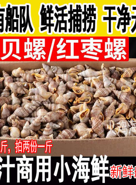 贝贝螺红枣螺鲜活新鲜