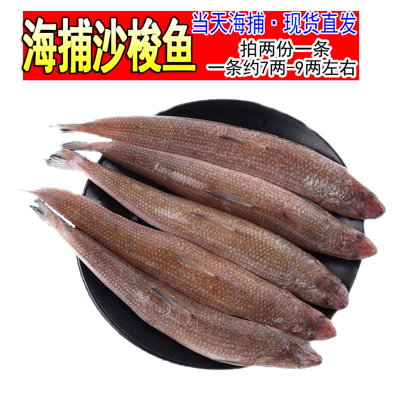 野生新鲜小梭鱼鲜活深海沙丁鱼小杂鱼海捕海鱼海鲜水产约1条7-9两