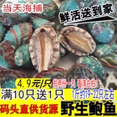 新鲜小鲍鱼鲜活大鲍鱼深海鲍鱼1斤约19 22只海鲜水产看清拍2份1只