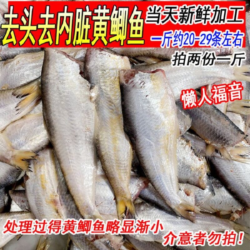 去头去内脏新鲜野生黄鲫鱼油扣马口鱼黄尖子毛扣鱼烤子鱼鲜活海鱼图片