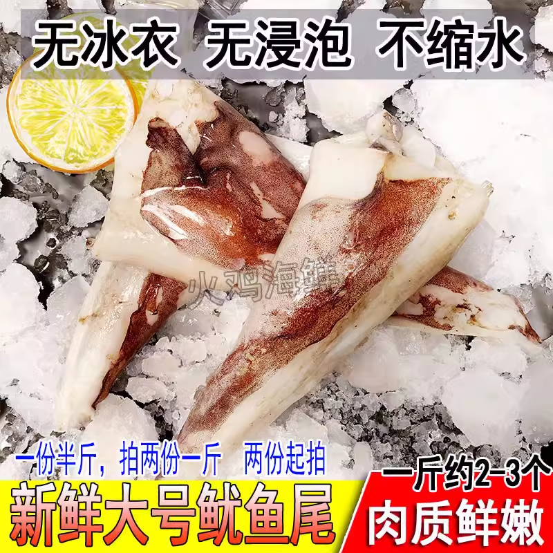 新鲜鱿鱼尾尖鱿鱼耳野生火锅食材鲜活满4斤包邮海鲜水产拍二份1斤