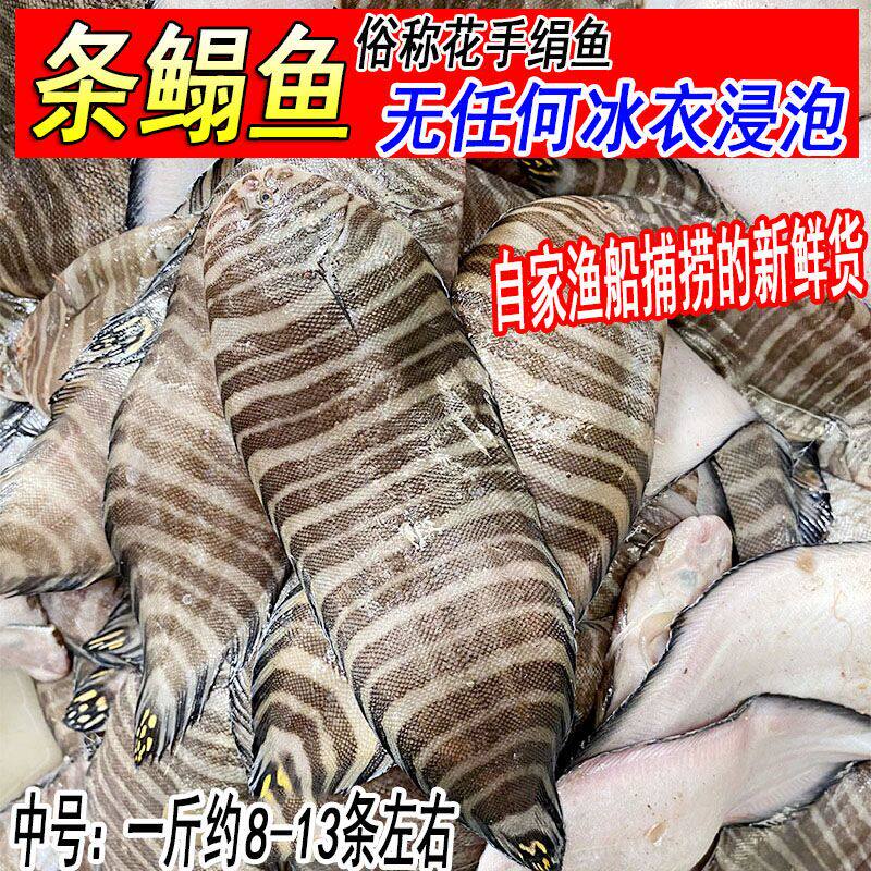 野生新鲜花手绢鱼踏板鱼花龙利鱼鳎目鱼鲜活海鲜水产1斤约8-13条