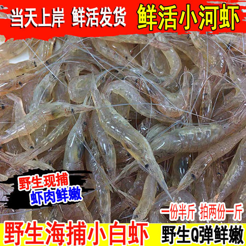 小河虾小白虾鲜活野生新鲜小明虾小海虾女人坐月子食材连云港海鲜