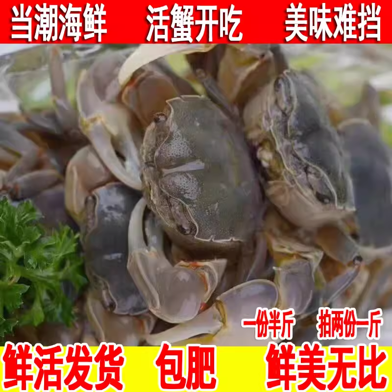 鲜活发财蟹黄眼蟹白玉蟹蟛蜞醉蟹嘟嘟蟹招潮蟹野生小螃蟹海鲜水产