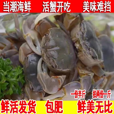 发财蟹黄眼蟹白玉蟹鲜活野生海鲜