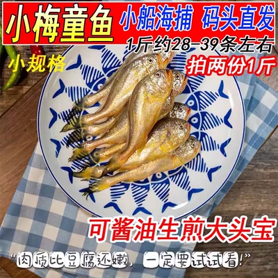 梅童鱼梅子鱼大头宝新鲜特级海鲜