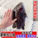 新鲜包公鱼黑包公鲷鱼鲜活海鱼花尾胡椒鲷海鲜水产1条 1.6斤 1.4
