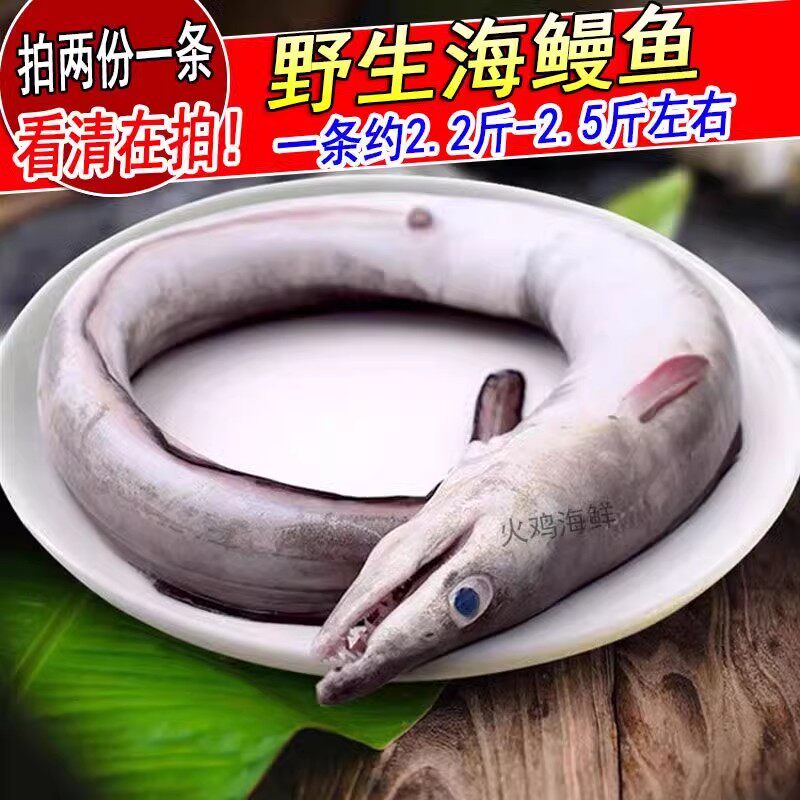 新鲜野生鳗鱼整条鲜活深海海鳗鱼拍2份1条海鲜水产1条约2.2-2.5斤