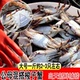 鲜活大号梭子蟹新鲜野生白蟹红膏蟹海蟹1斤2 3只海鲜水产拍2份1斤