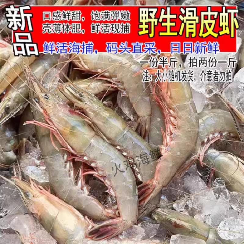 新鲜青壳滑皮虾野生条虾剑虾呛虾大剑条虾活皮虾海捕鲜活海鲜水产