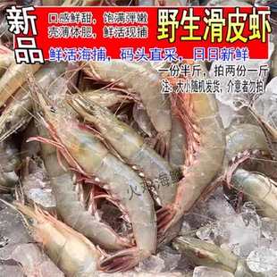 新鲜青壳滑皮虾野生条虾剑虾呛虾大剑条虾活皮虾海捕鲜活海鲜水产