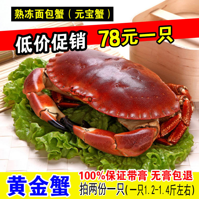 熟冻面包蟹新鲜大黄金蟹鲜活珍宝蟹野生母蟹1只约1.2-1.4海鲜水产