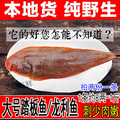 龙利鱼舌头鱼鳎目鱼新鲜非巴沙鱼