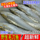 新鲜超大毛刀鱼野生海刀鱼旗鱼刨花鱼鲜活凤尾鱼1斤5 9条海鲜水产