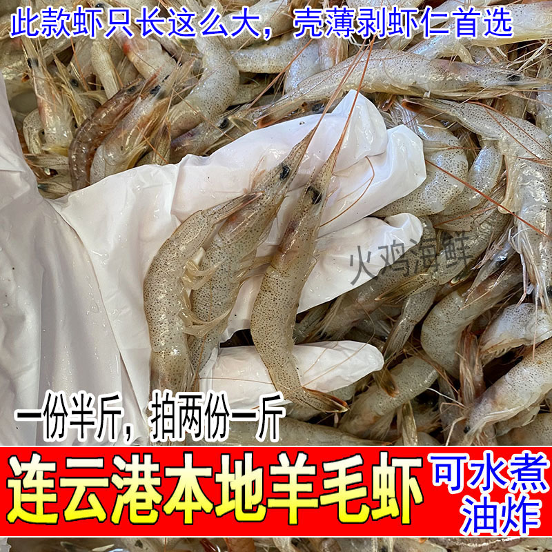 小羊毛虾黄虾白虾新鲜鲜活海虾