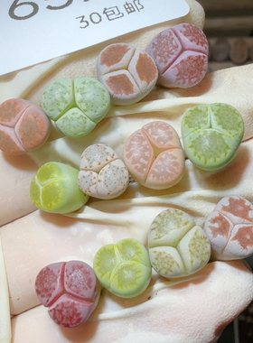 6571 奔驰一组0.8-1cm