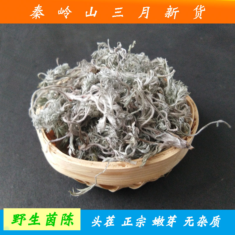 野生三月新鲜茵陈秦岭2026年现挖白蒿好绵茵陈泡茶中药材绒蒿干货