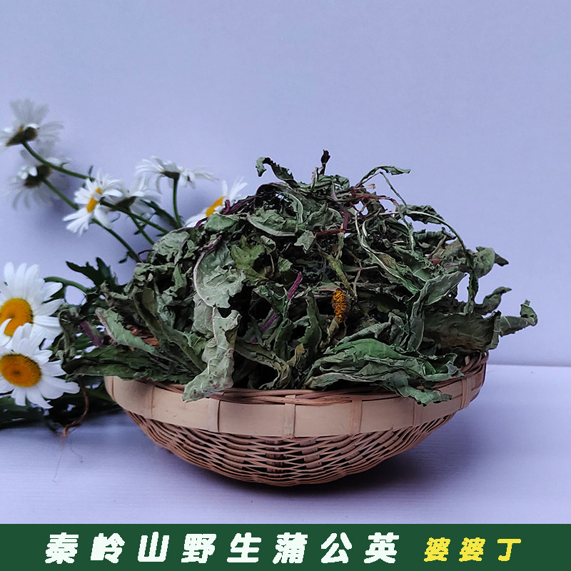 野生蒲公英带根整颗新鲜晒干