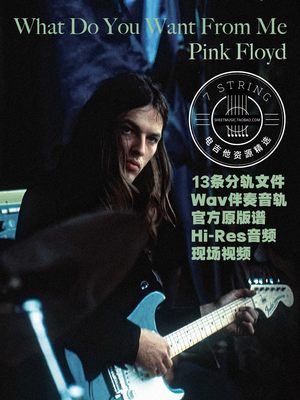 PinkFloyd电吉他伴奏谱