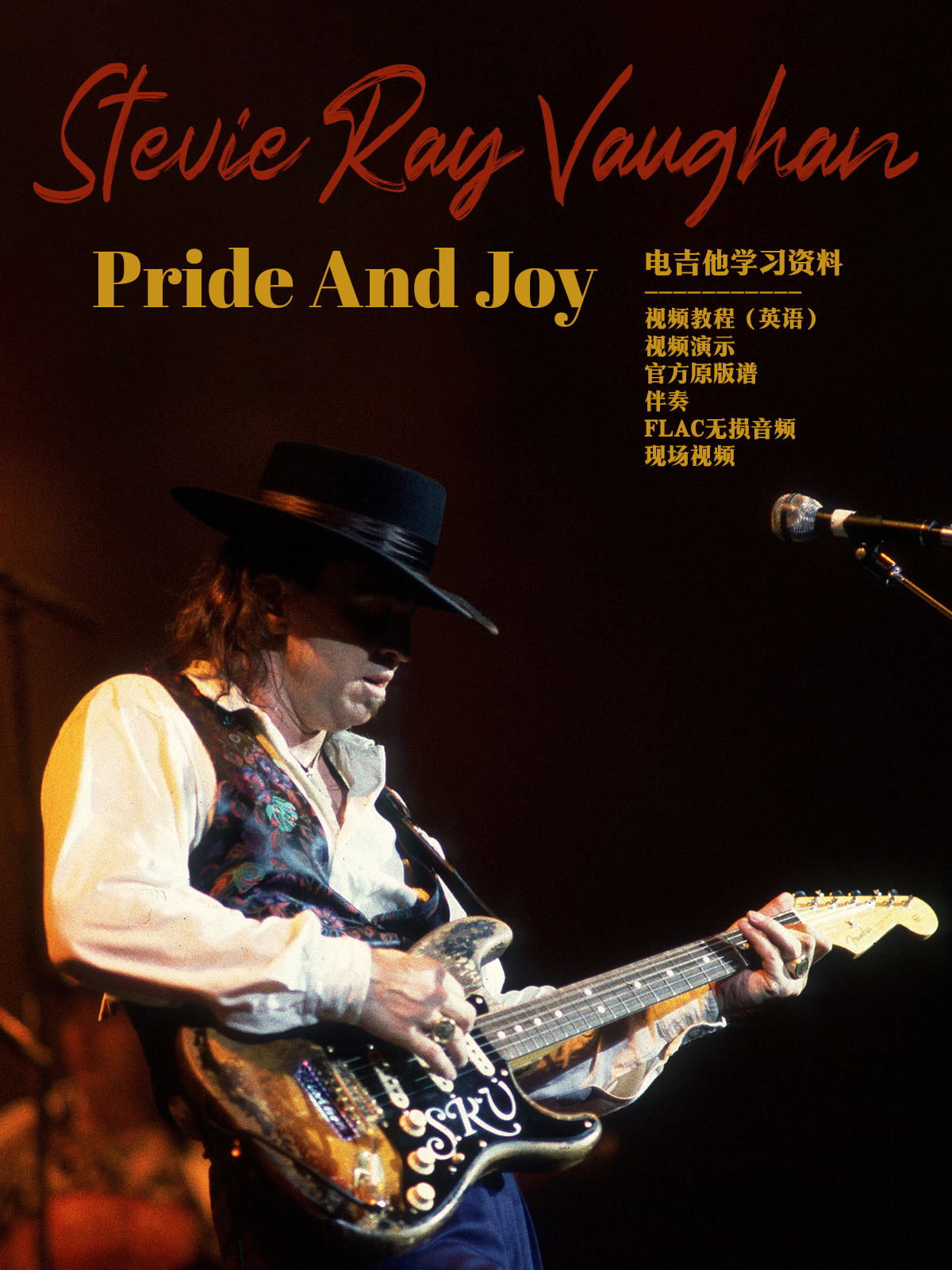 stevie ray vaughan - pride and joy电吉他教学音视频原版谱伴奏