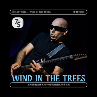Satriani 电吉他官方谱伴奏 单曲 Joe the Trees 251 Wind