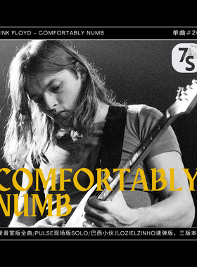 单曲#20 Pink Floyd - Comfortably Numb 录音室、PULSE、速弹版
