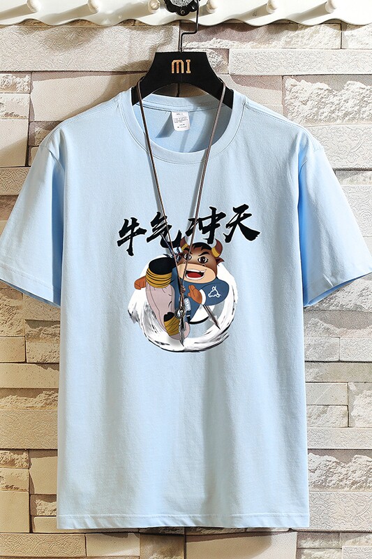 2025年夏季新款男士半袖T恤宽松大码打底衫XZ102A-T119-P25,男装T恤,星座211-2