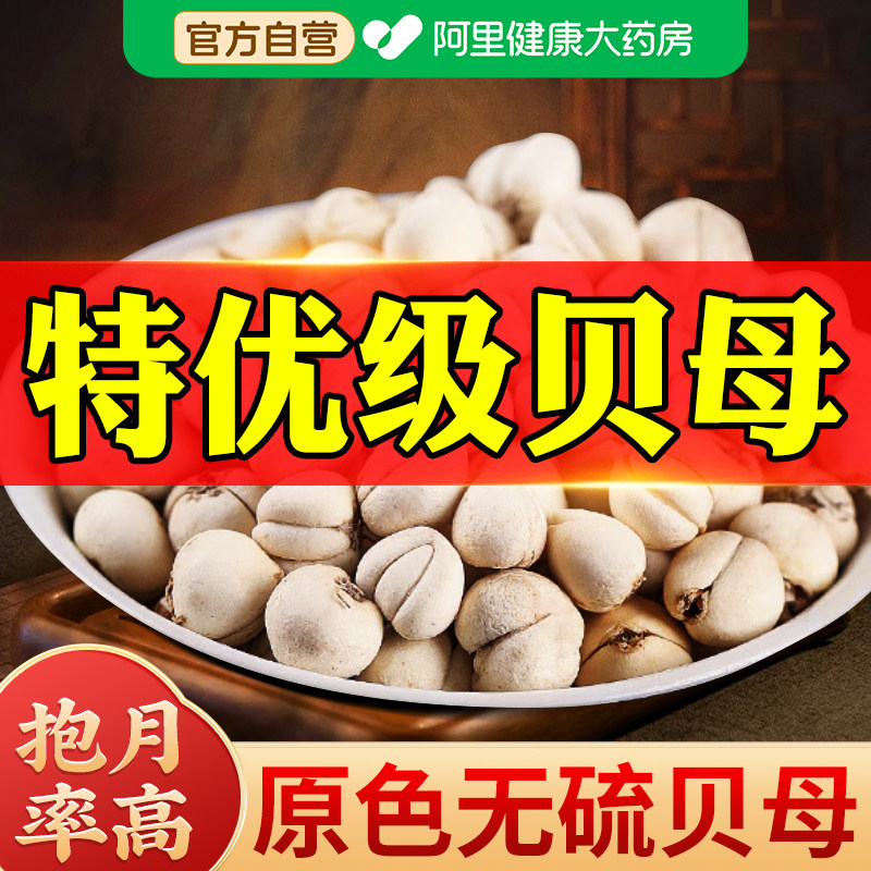 贝母无硫正品官方旗舰店川非特级野生贝母中止药粉材咳颗粒泡水喝