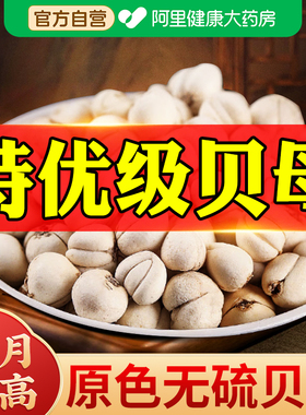 贝母无硫正品官方旗舰店川非特级野生贝母中止药粉材咳颗粒泡水喝