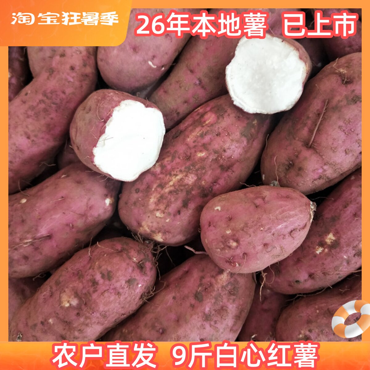 助农粉面番薯红皮白心红薯新鲜地瓜干瓤生山芋水果蔬菜圆红苕9斤
