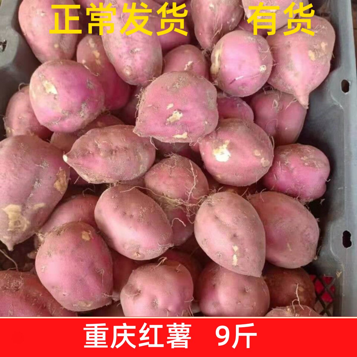 重庆红薯山芋助农地瓜红皮白心红薯新鲜干瓤粉圆红苕板栗番薯9斤