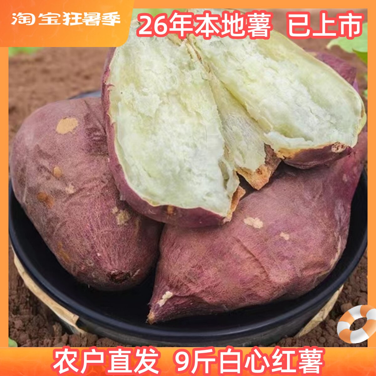 农家自种白心红薯重庆粉糯红薯图片