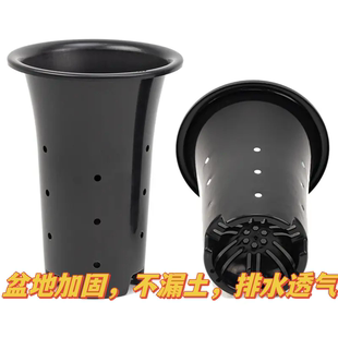 九尾狐专用盆塑料兰花盆加厚加高大号兰花花盆透气排水兰草盆