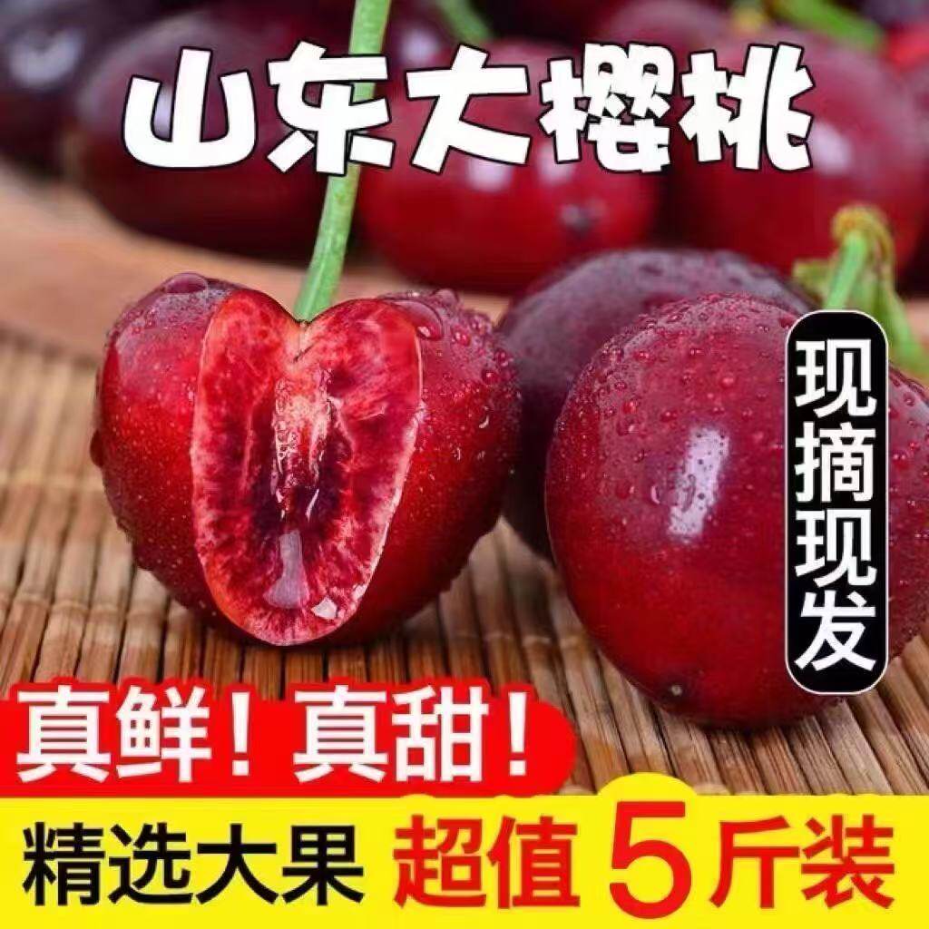 山东烟台大樱桃现摘樱珠脆甜车厘子新鲜水果整箱包邮当季孕妇绿色