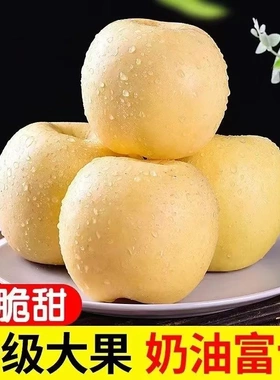 山东烟台黄金富士奶油富士苹果整箱孕妇水果脆甜新鲜白色牛奶包邮