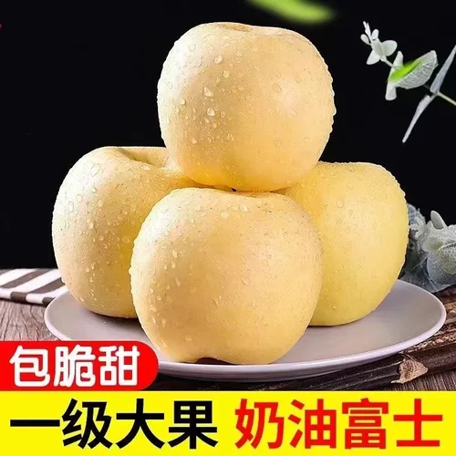 山东烟台黄金富士奶油富士苹果整箱孕妇水果脆甜新鲜白色牛奶包邮