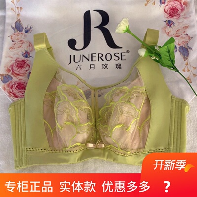 六月玫瑰专柜正品8404聚拢集中收副收乳软钢圈调整型内衣薄CD杯