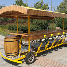 移动休闲健身观光酒吧车多人脚踏自行车骑行啤酒车 Bus定制 Beer