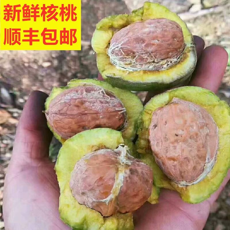 小林淘品新鲜生湿核桃农家四川乐山犍为高山核桃鲜香现采5斤包邮