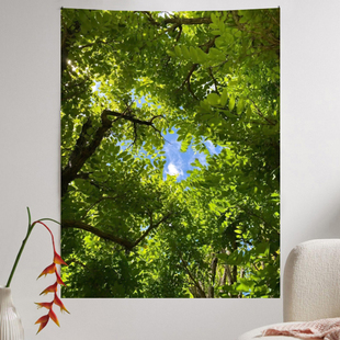 夏日森林高级感挂布宿舍床头装饰挂毯卧室墙面装饰布拍照背景布