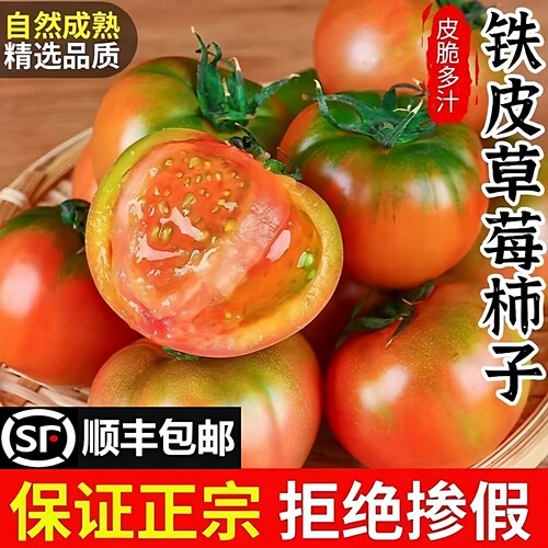 高品质！铁皮草莓西红柿