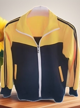 小学生校服春秋外套上衣园服运动服英伦学院风班服藏青黄色拼接款